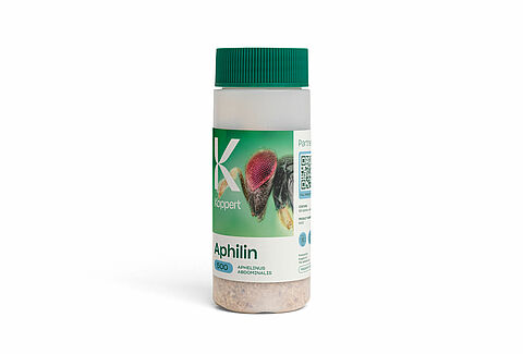 Inspirado en la Naturaleza: nuevo diseño con la calidad de siempre