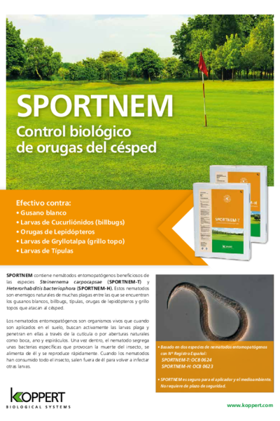 Sportnem-H - Folleto