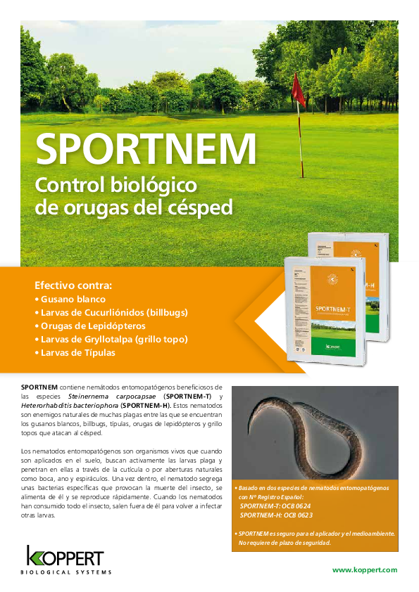 Sportnem-H - Folleto