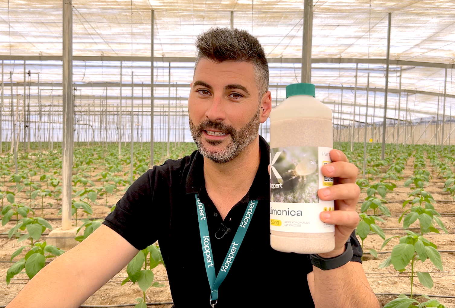 Reducir nuestra huella de CO2, botella a botella