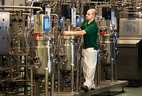 “Las soluciones biológicas ofrecen múltiples beneficios para los cultivos al aire libre”