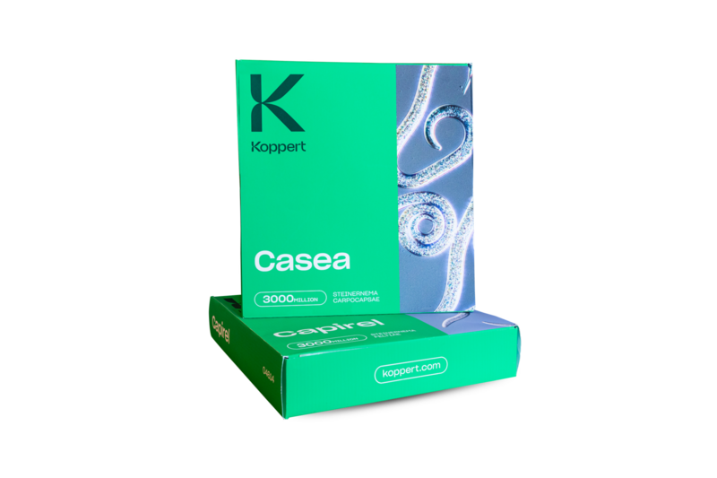 Envases de Capirel y Casea.