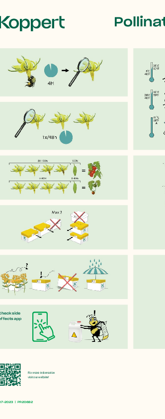 Lista de control polinización de tomate