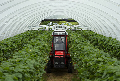 Even distribution of predatory insects with Natutec Drive