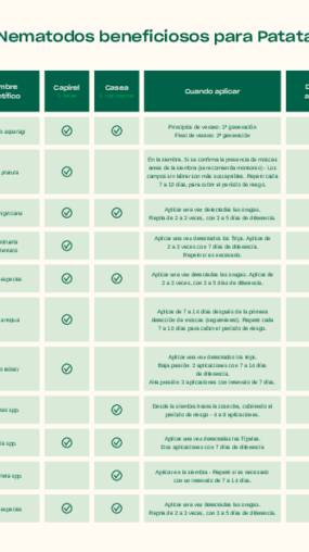 Nematodos beneficiosos - Patata