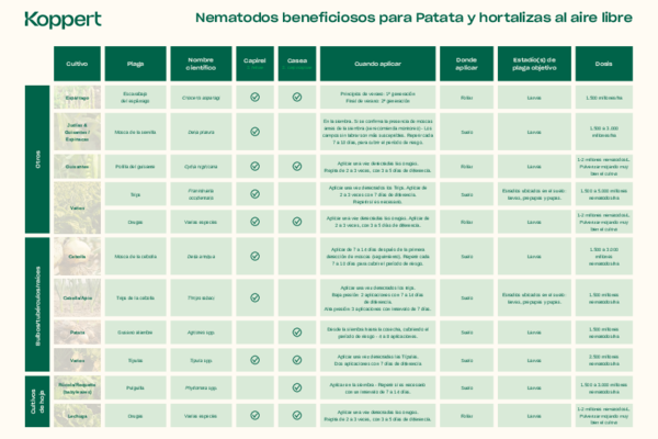 Nematodos beneficiosos - Patata