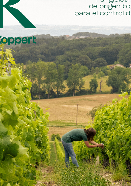 CeraSulfur - Folleto