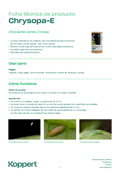 Chrysopa E Ficha Técnica