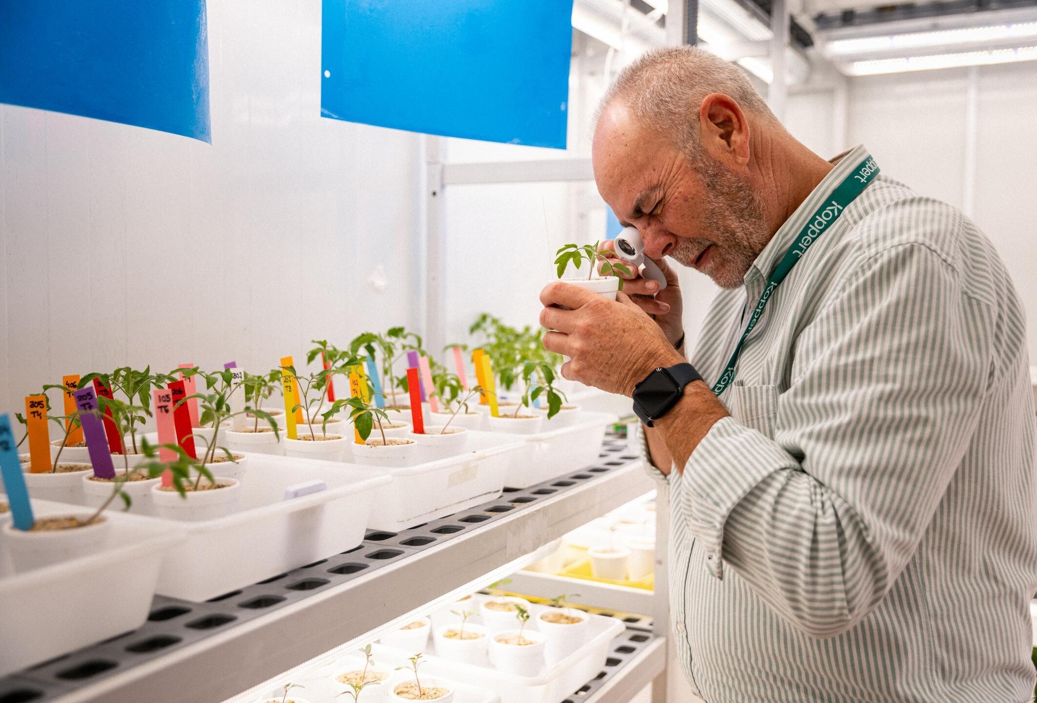 Transformando el control de plagas: el auge de los ácaros depredadores