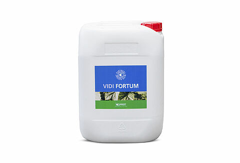 Vidi Fortum