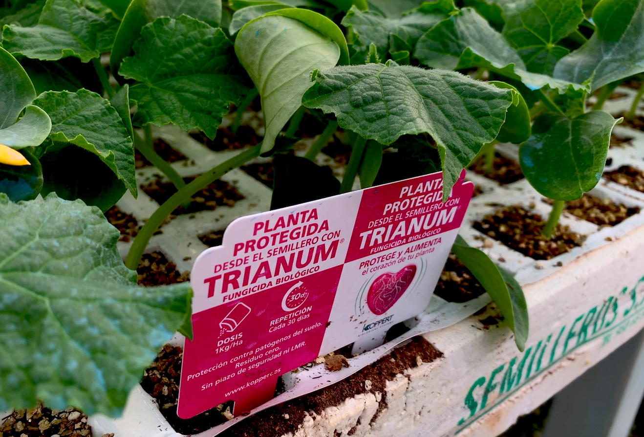 TRIANUM® protege y fortalece los trasplantes de primavera