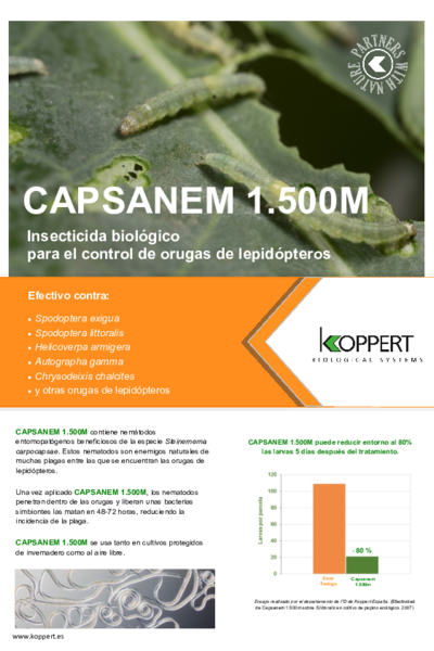 Capsanem - Folleto