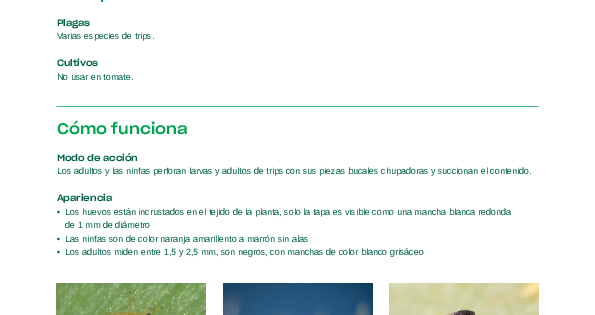 Thripor-L Ficha Técnica