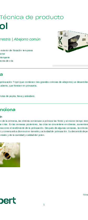 Ficha técnica Tripol