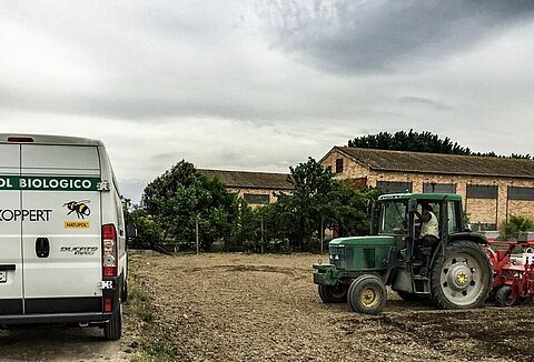 Ceres-Mix impulsa la emergencia de la planta en ajo, leguminosas y cereales