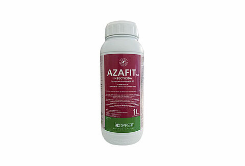 Azafit