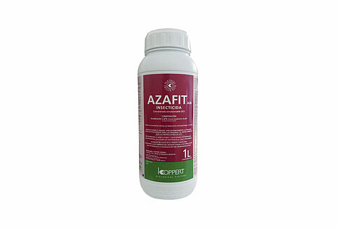 Azafit