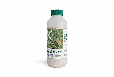Spidex Vital