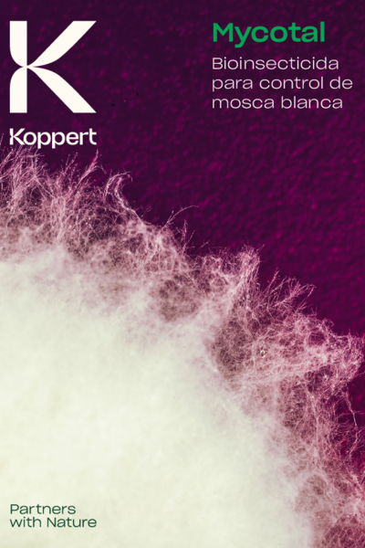 Mycotal - Folleto