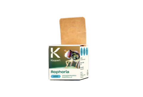 Rophoria, la nueva imagen para uno de los enemigos más temidos por los pulgones