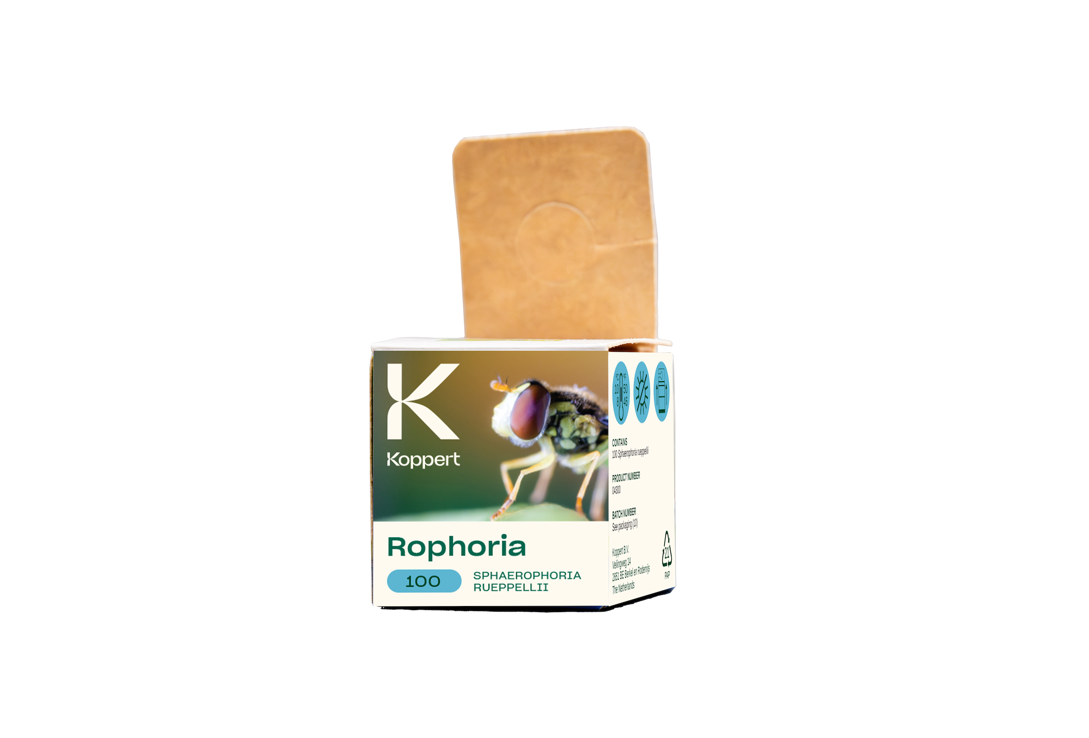 Rophoria, la nueva imagen para uno de los enemigos más temidos por los pulgones