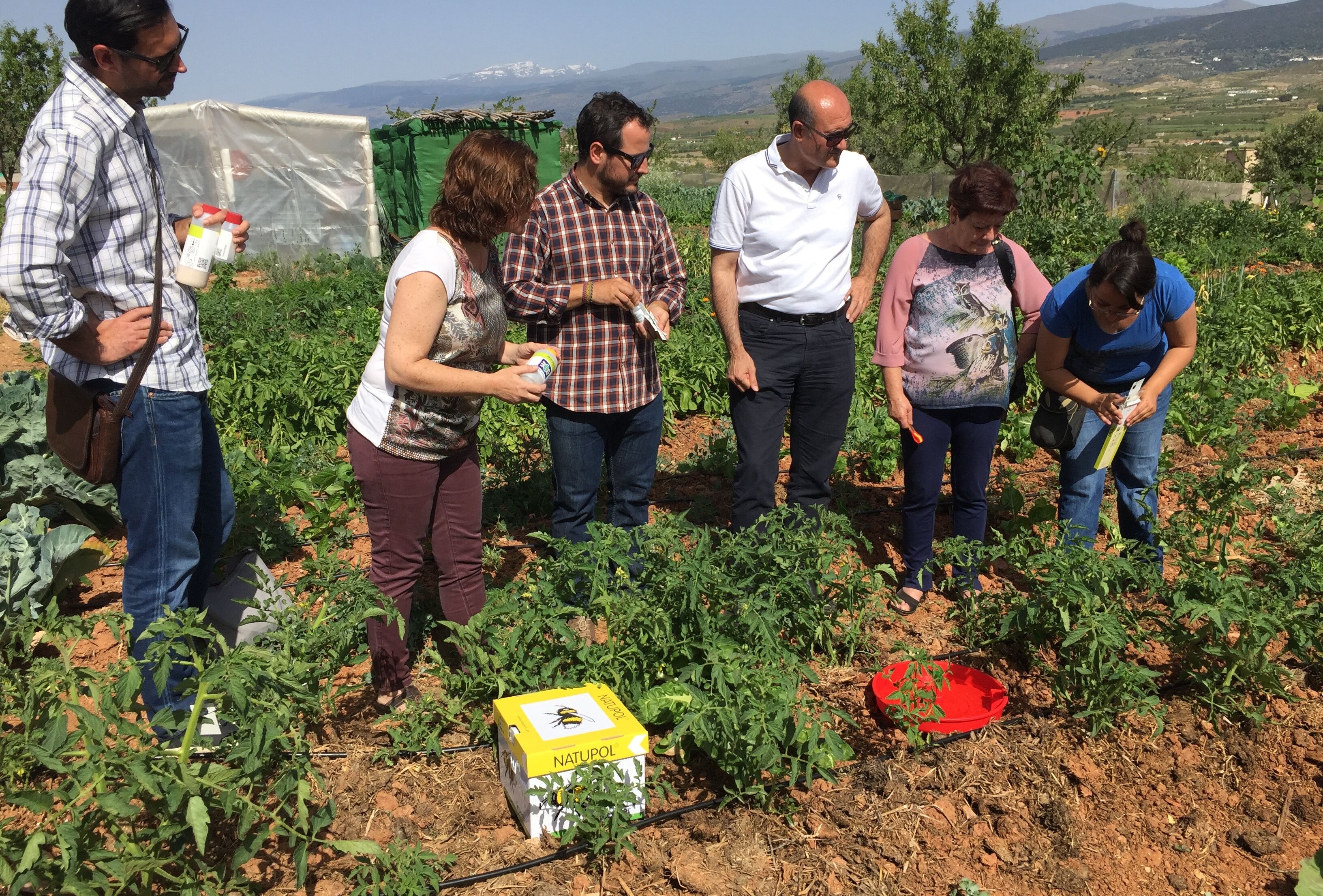 Koppert muestra a Noesso los beneficios del control biológico de plagas en cultivos hortícolas al aire libre