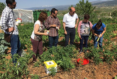 Koppert muestra a Noesso los beneficios del control biológico de plagas en cultivos hortícolas al aire libre