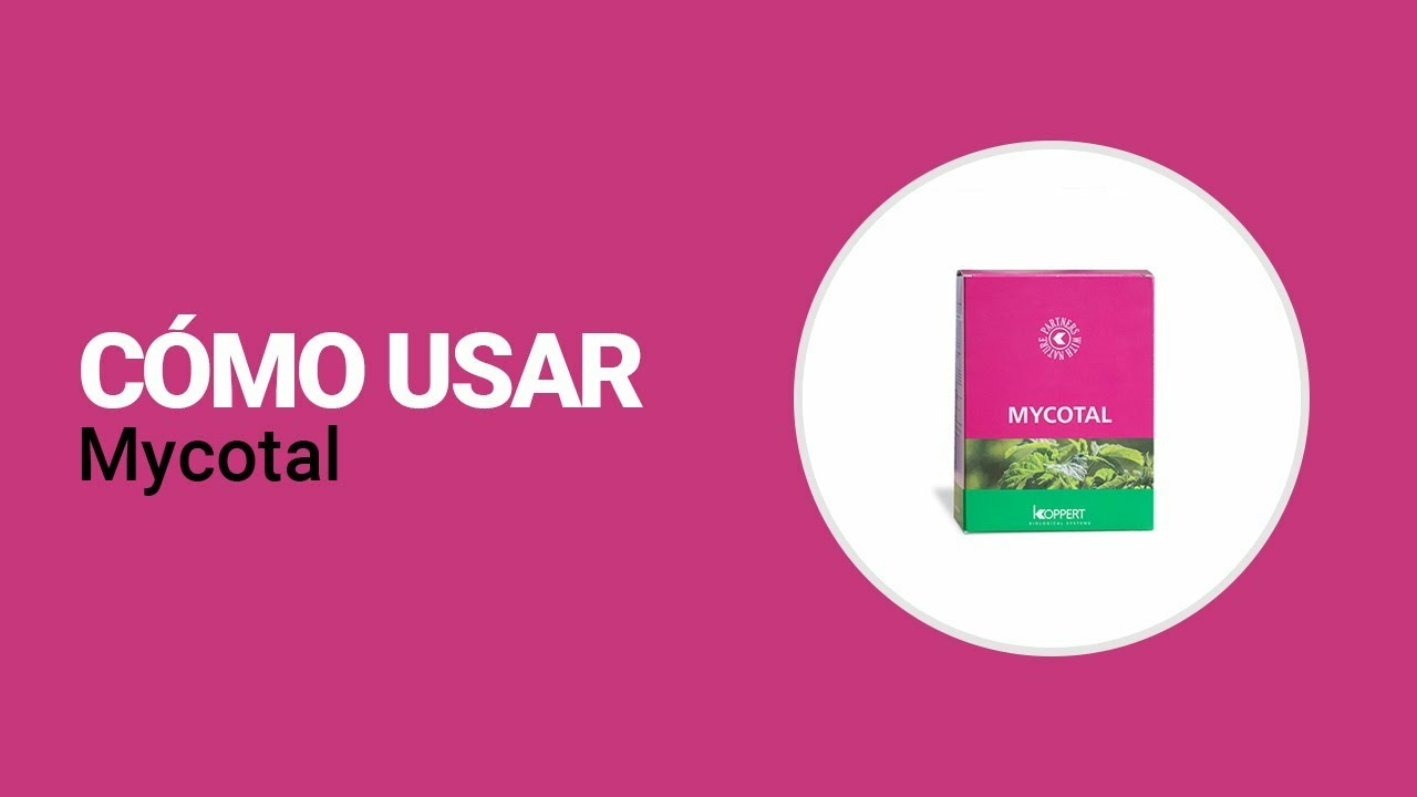 Cómo usar Mycotal de Koppert