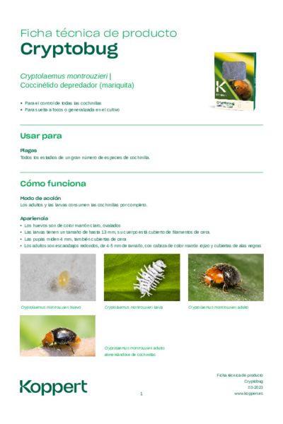 Cryptobug - Ficha Técnica