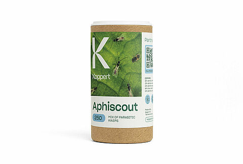 Aphiscout