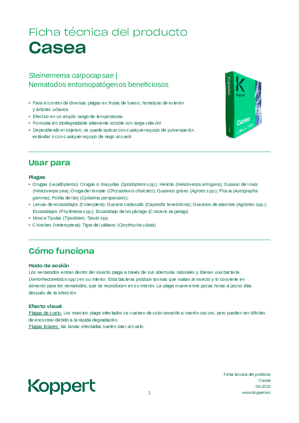 Casea - Ficha Técnica