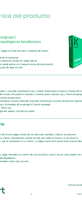 Casea - Ficha Técnica