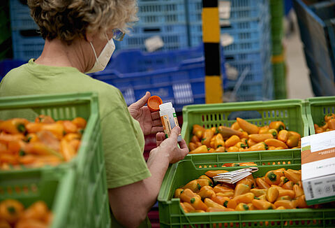 Koppert contribuye a restaurar la biodiversidad de los ecosistemas agrícolas