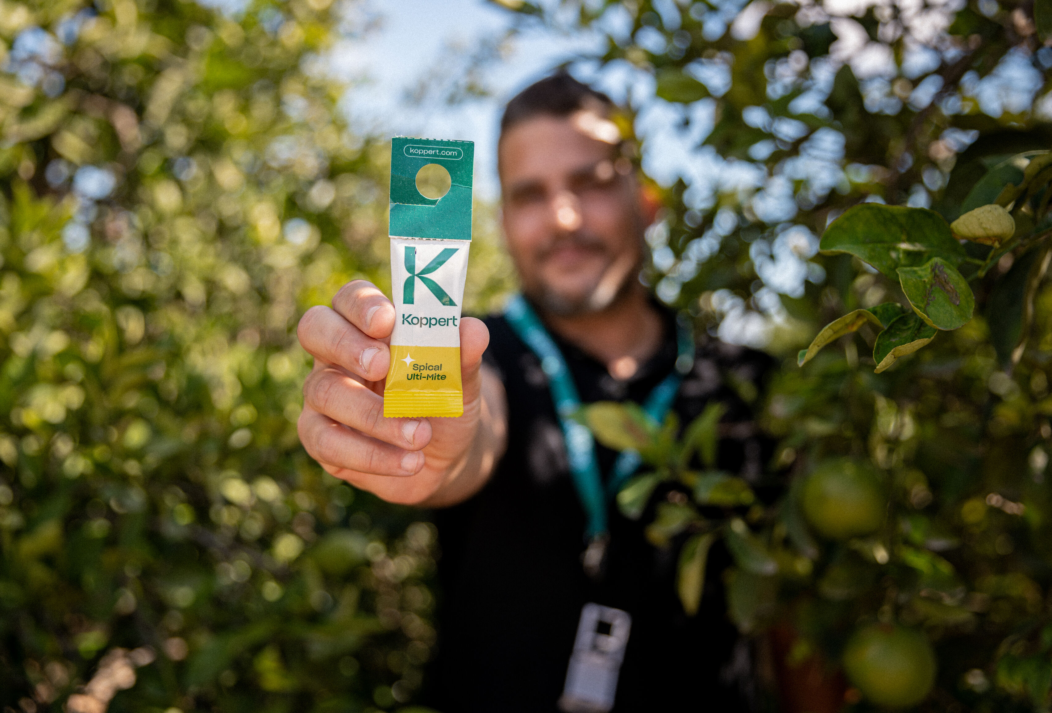 Nuevos formatos con ácaros depredadores que hacen más fácil el control biológico de araña roja
