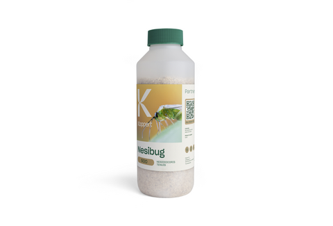 Nesibug