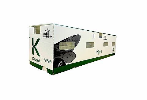 Lista de control polinización en exterior