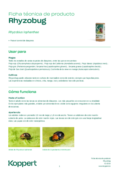 Rhyzobug Ficha Técnica