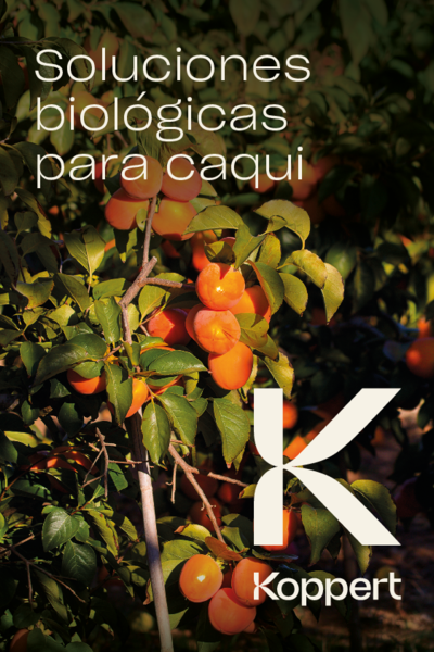 Catálogo_Soluciones_Biológicas_Caqui.pdf