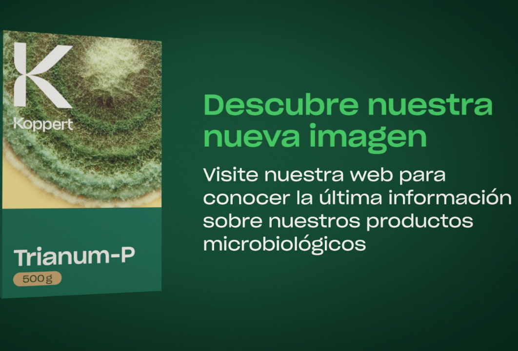 Un gran impacto comienza en lo más pequeño: microorganismos beneficiosos.