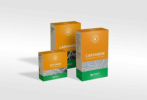 Un nuevo formulado en gel amplía hasta cuatro meses la vida útil de los nematodos beneficiosos de Koppert