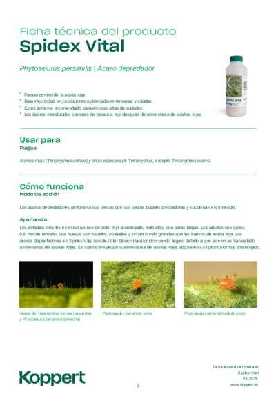 Spidex Vital - Ficha Técnica