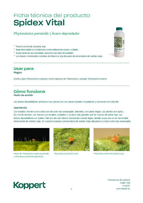 Spidex Vital Ficha Técnica