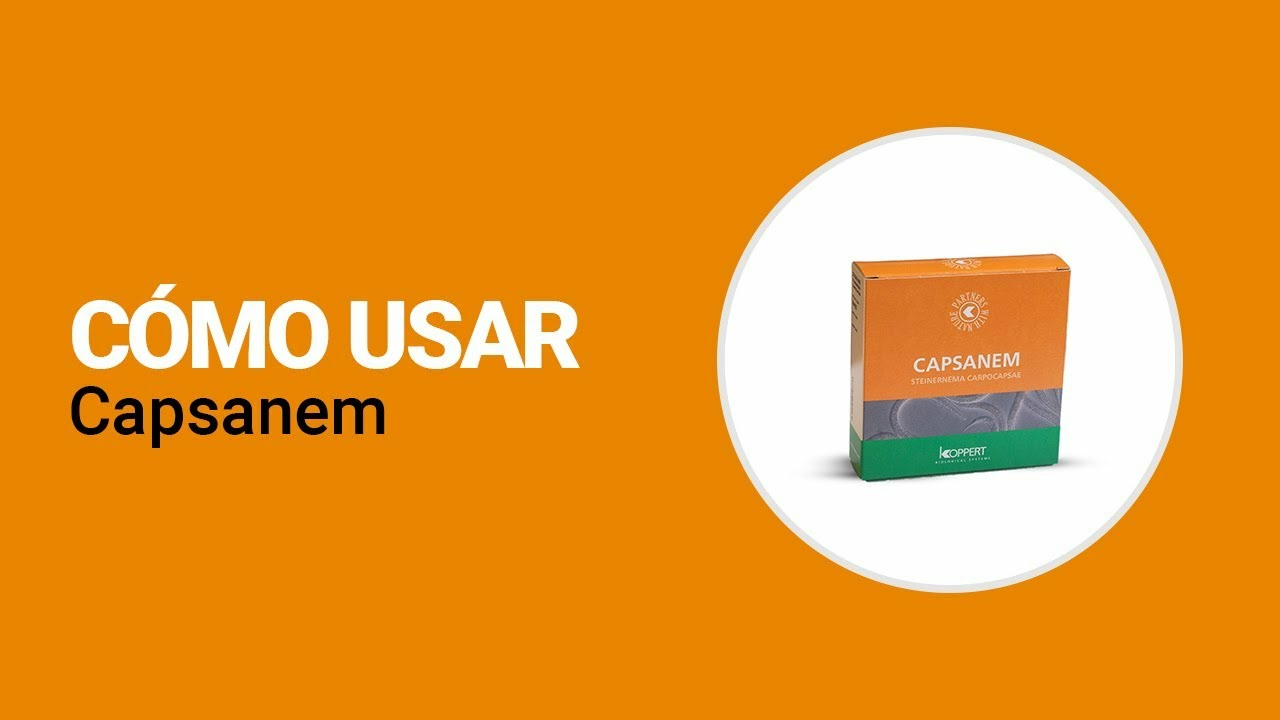 Cómo usar Capsanem de Koppert
