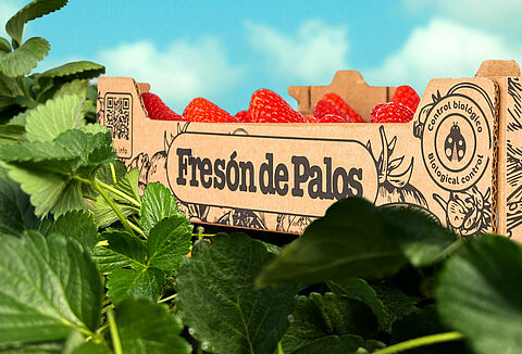 Fresón de Palos apuesta por el control biológico de plagas en fresa, frambuesa y arándano