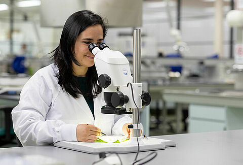 Técnico/a Investigador en Departamento de I+D