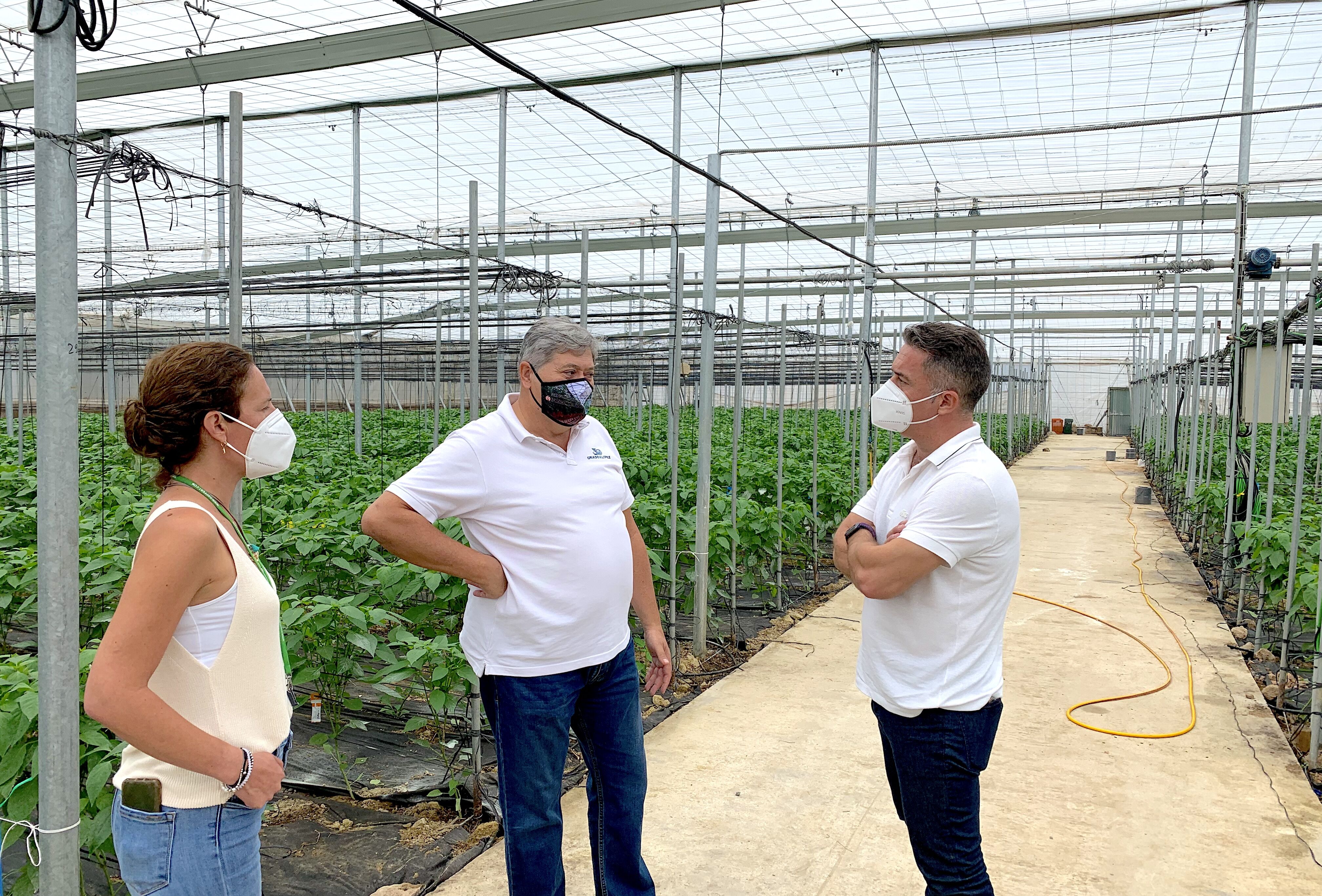 Koppert exhibirá sus innovaciones en la finca experimental de Criado y López