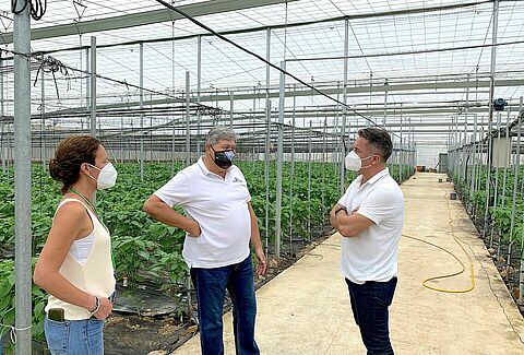 Koppert exhibirá sus innovaciones en la finca experimental de Criado y López