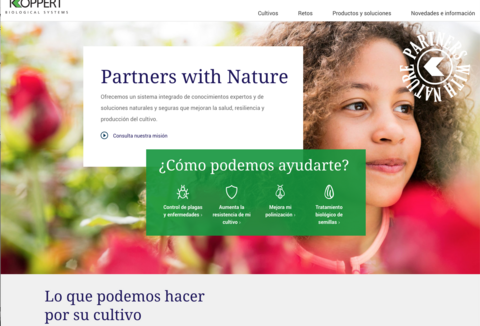 Lanzamiento sitio web