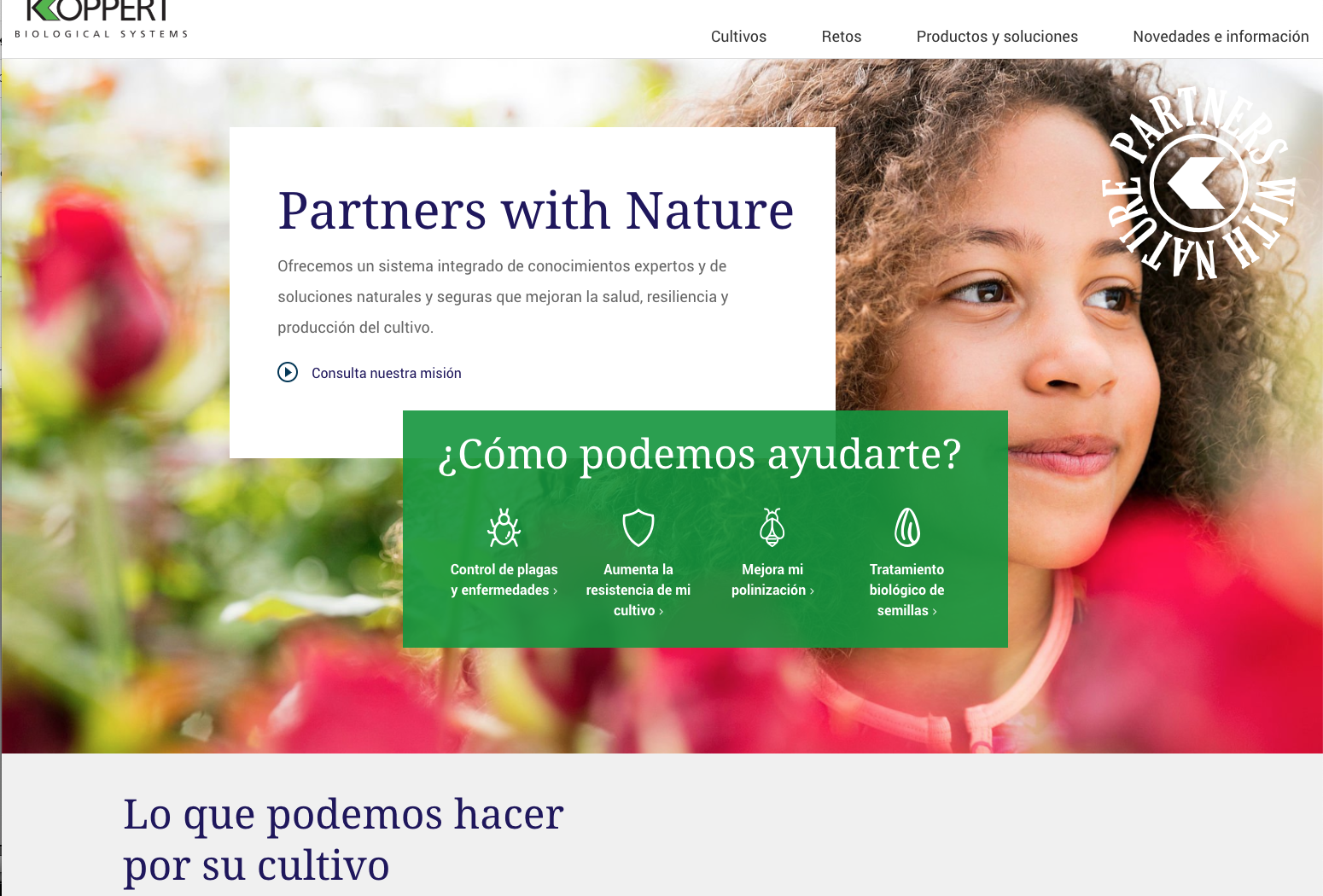 Lanzamiento sitio web