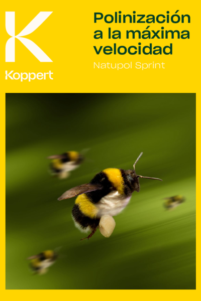 Folleto de Natupol Sprint